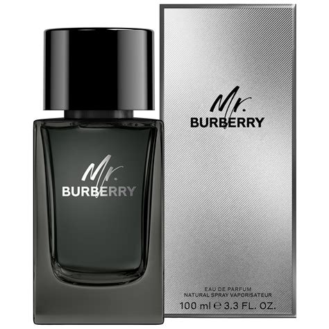 mr burberry eau de parfum